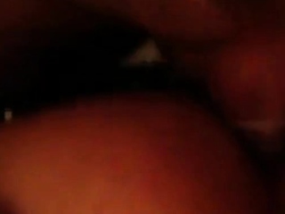 Daddy Bear and His Young Cub